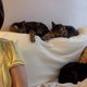 La autora con sus tres gatos en su casa en Woodlands. Foto: Montse Feu.
